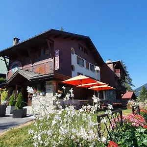 Hotel Alp-hotel